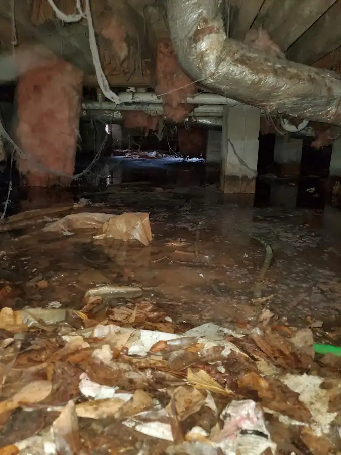 Crawl space flood assessment for Leak Detection & Repair in Chillicothe